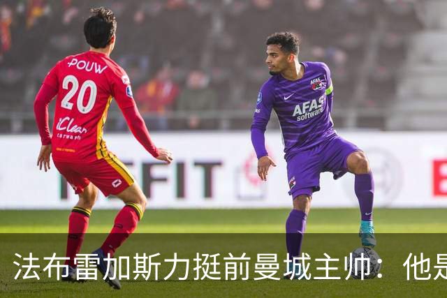 法布雷加斯力挺前曼城主帅：他是赢家，早已证明自己